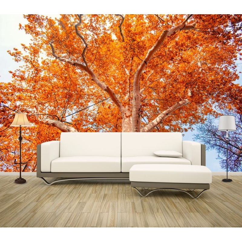 Wallpaper Murals Peel and Stick Removable Stunning Autumn Tree Photograph High Quality