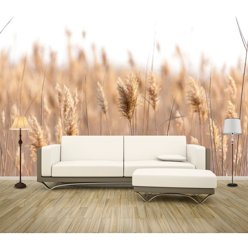 Wallpaper Murals Peel and Stick Removable Stunning Field Photograph High Quality