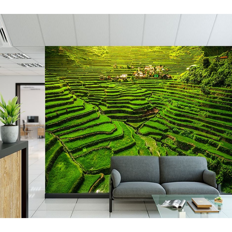 Wallpaper Murals Peel and Stick Removable Stunning Fields High Quality