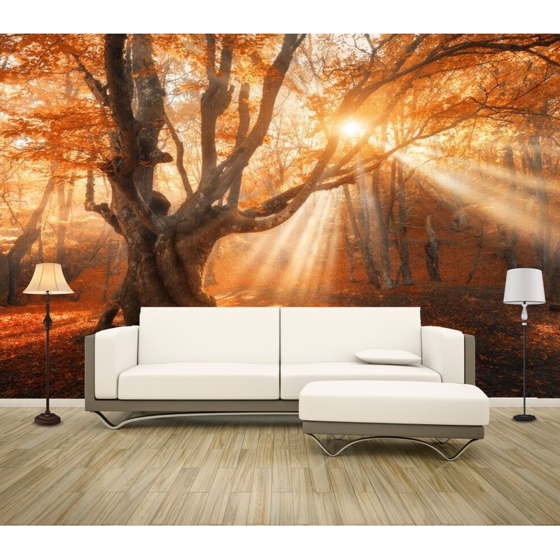 Wallpaper Murals Peel and Stick Removable Sunset Through the Forest High Quality