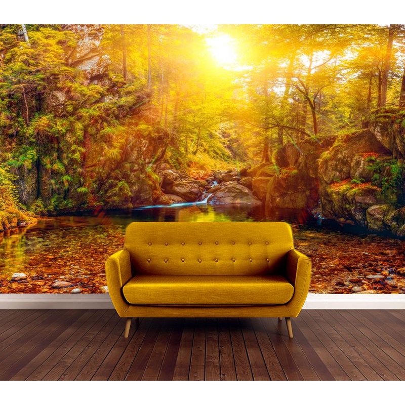 Wallpaper Murals Peel and Stick Removable Sunset View in Forest High Quality