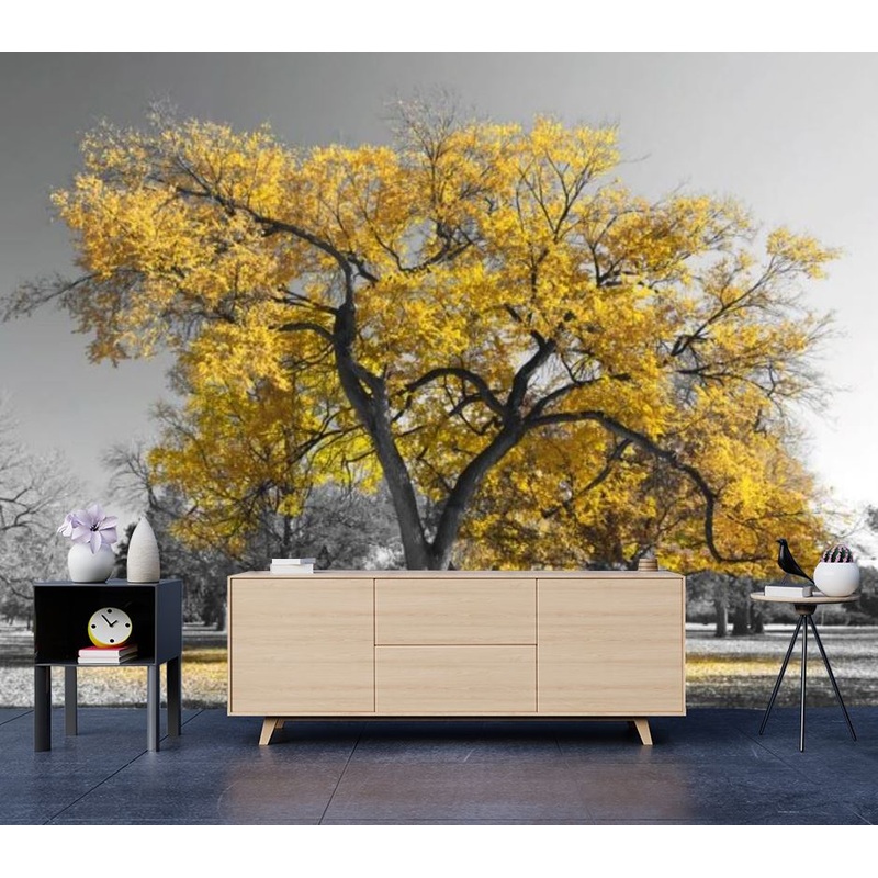 Wallpaper Murals Peel and Stick Removable Yellow Leafy tree in B&W Background Photograph High Quality