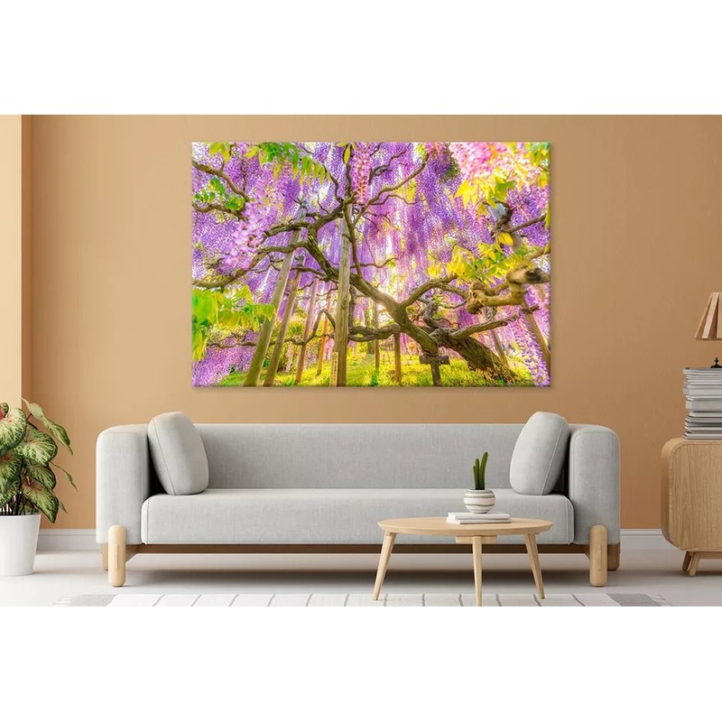 Wisteria At Ashikaga Flower Park Wall Art Decor 100% Australian Made
