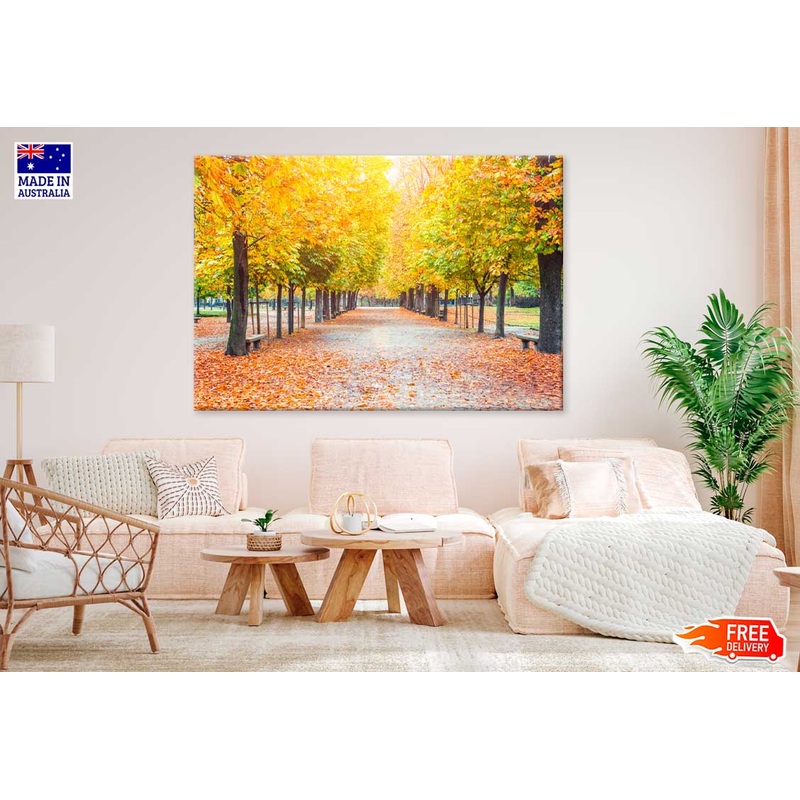 Yellow Autumn Trees Covered Road View Photograph Print 100% Australian Made
