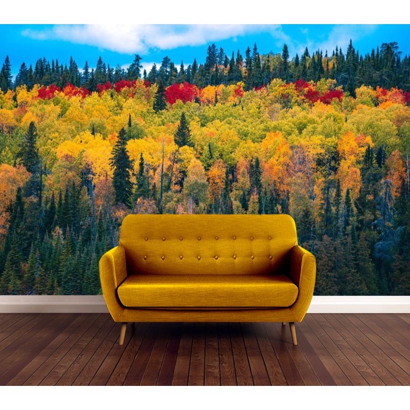 Wallpaper Murals Peel and Stick Removable Colorful Forest High Quality