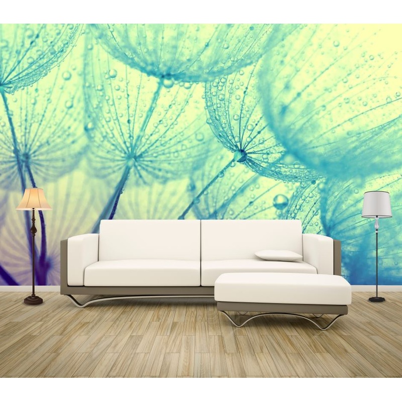 Wallpaper Murals Peel and Stick Removable Dandelion Flower Closeup High Quality