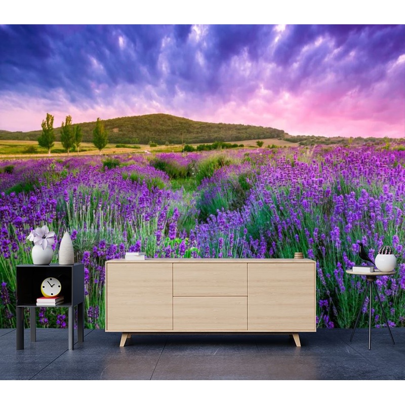 Wallpaper Murals Peel and Stick Removable Floral Field High Quality
