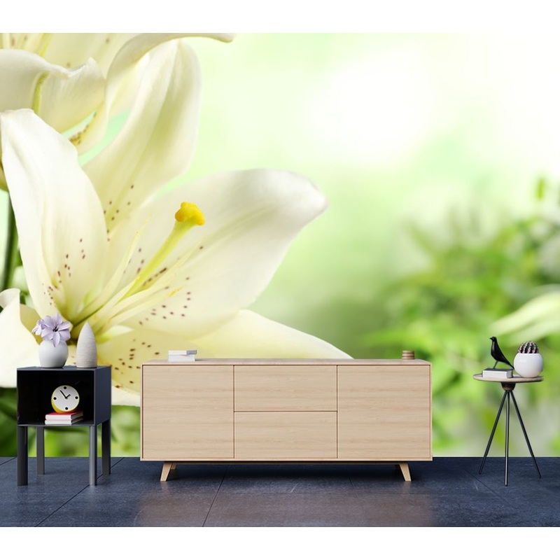 Wallpaper Murals Peel and Stick Removable Flower Closeup Photograph High Quality
