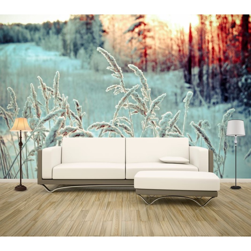 Wallpaper Murals Peel and Stick Removable Frozen Flowers in Sunset High Quality