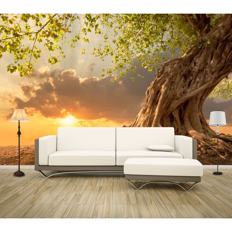 Wallpaper Murals Peel and Stick Removable Huge Tree at Sunset Photograph High Quality