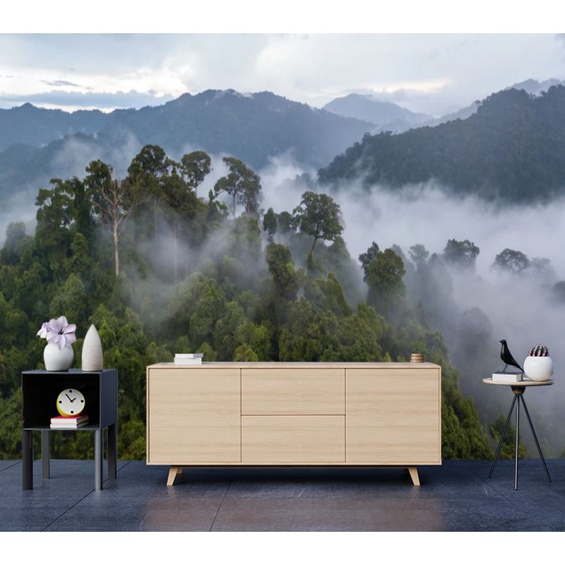 Wallpaper Murals Peel and Stick Removable Misty Forest Sky View High Quality