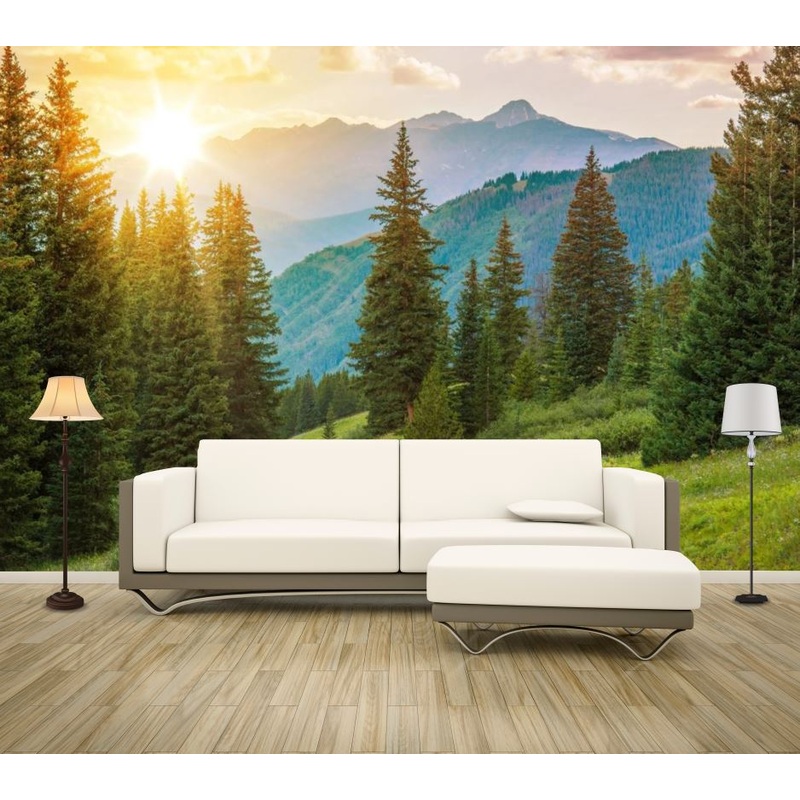 Wallpaper Murals Peel and Stick Removable Pine Tree Forest High Quality