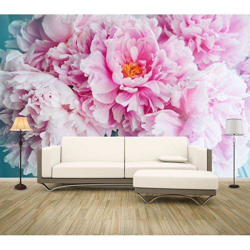 Wallpaper Murals Peel and Stick Removable Pink Floral Closeup High Quality