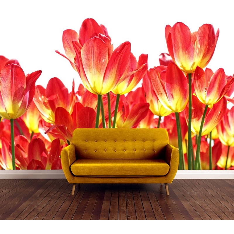 Wallpaper Murals Peel and Stick Removable Red Flowers Closeup High Quality