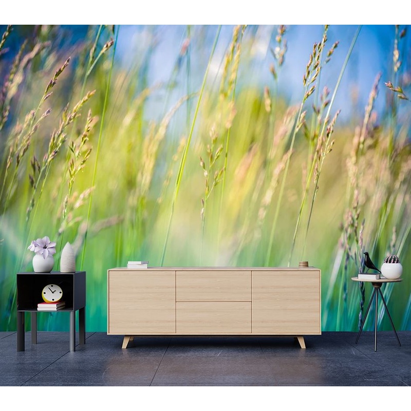 Wallpaper Murals Peel and Stick Removable Stunning Field Closeup Photograph High Quality