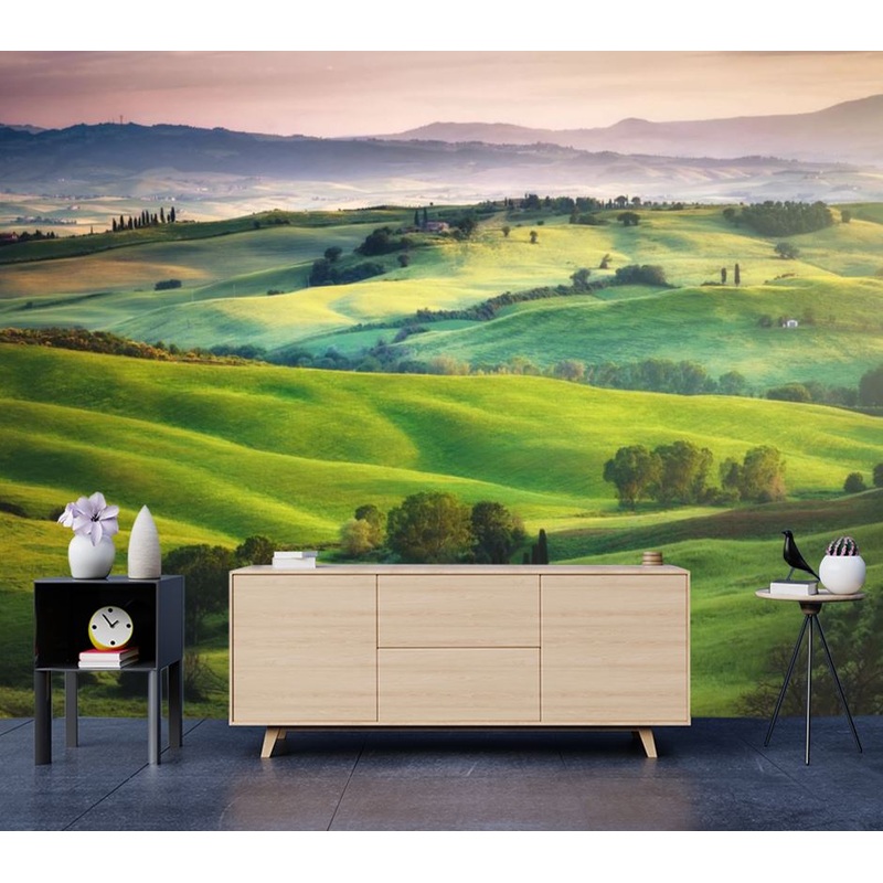 Wallpaper Murals Peel and Stick Removable Stunning Meadow High Quality