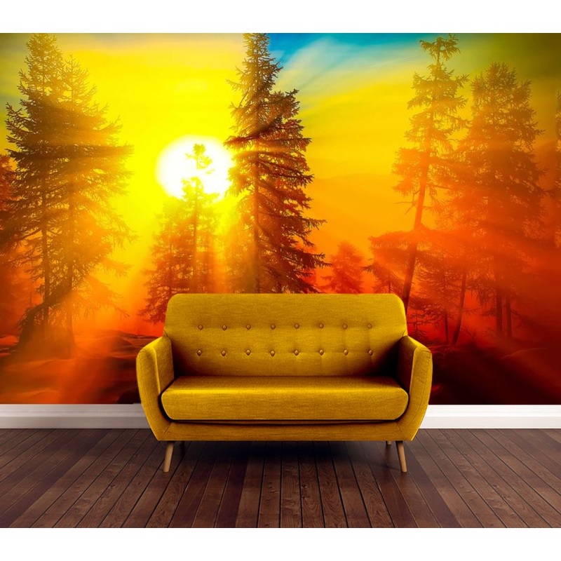 Wallpaper Murals Peel and Stick Removable Sunlight Through Forest High Quality