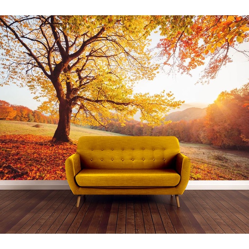 Wallpaper Murals Peel and Stick Removable Tree on a Mountain in a Sunset Evening View Photograph High Quality