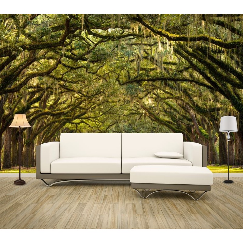 Wallpaper Murals Peel and Stick Removable Tree Tunnels High Quality