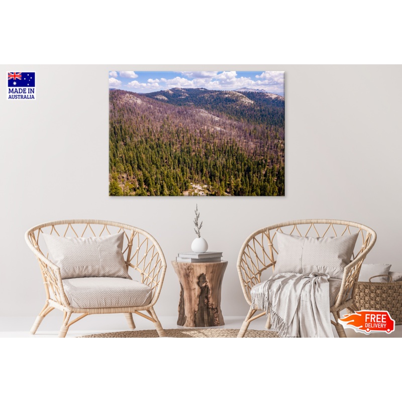Trees & Rock Mountain View Photograph  Print 100% Australian Made