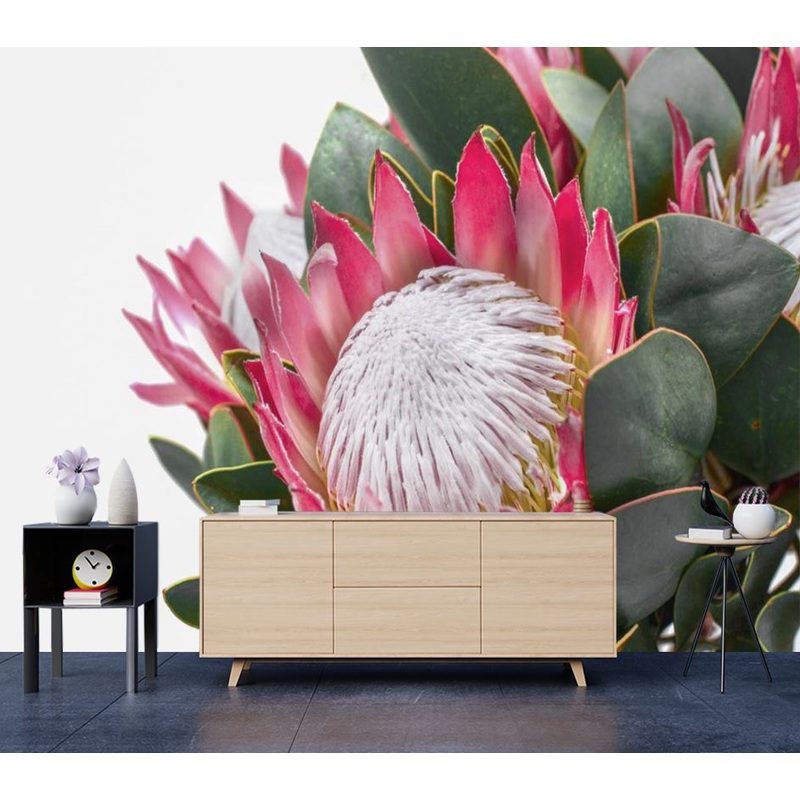 Wallpaper Murals Peel and Stick Removable King Protea Flower High Quality