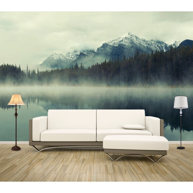 Wallpaper Murals Peel and Stick Removable Misty Forest Photograph High Quality