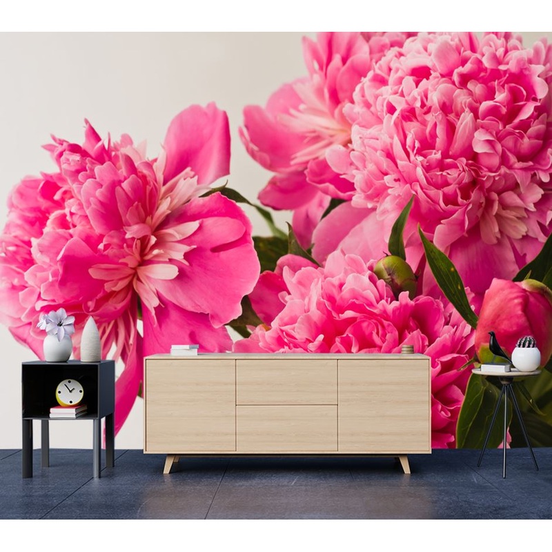Wallpaper Murals Peel and Stick Removable Pink Peonies Closeup High Quality