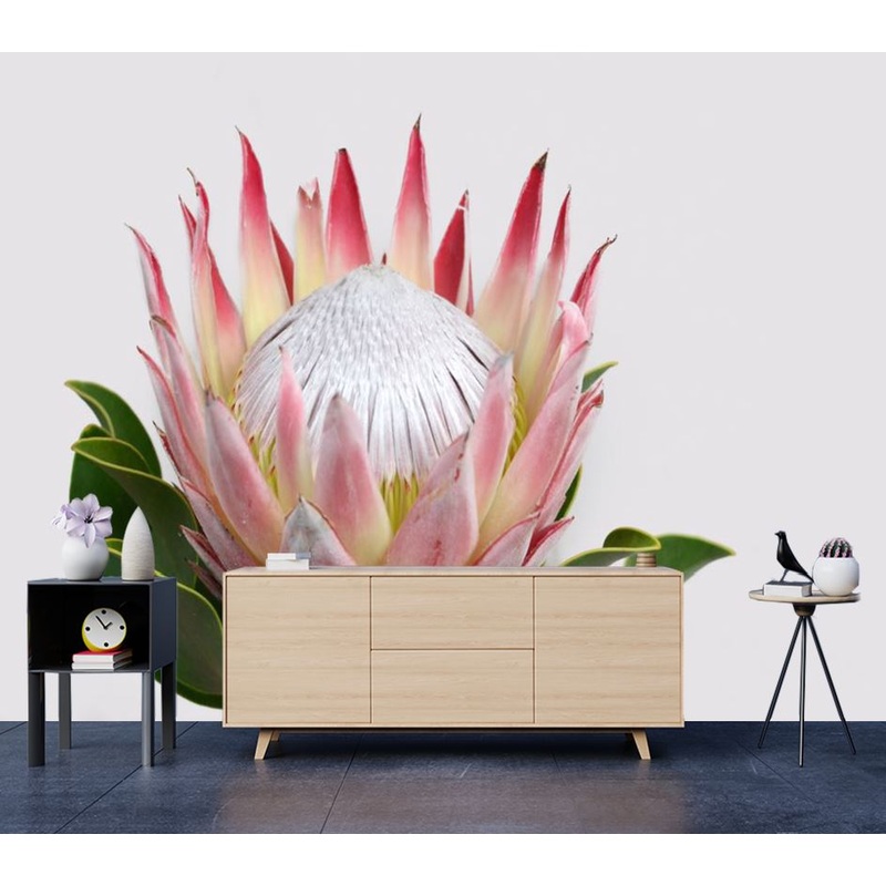 Wallpaper Murals Peel and Stick Removable Red Protea Flower High Quality