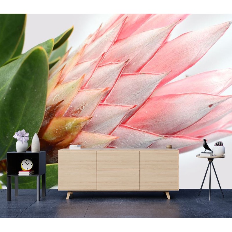 Wallpaper Murals Peel and Stick Removable Red Protea Plant High Quality