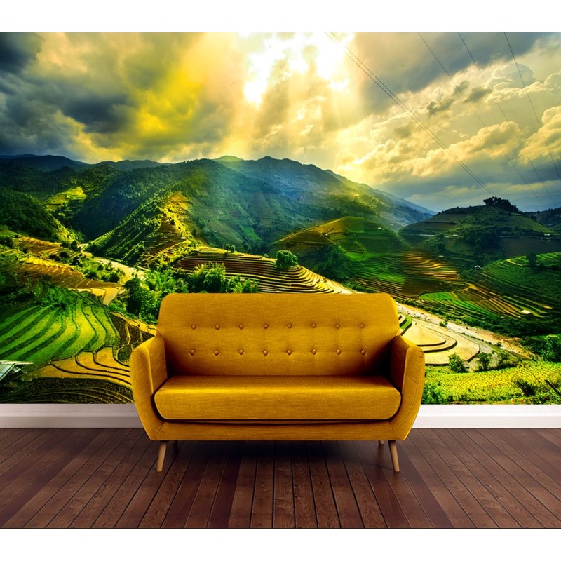 Wallpaper Murals Peel and Stick Removable Rice Fields in Vietnam Photograph High Quality