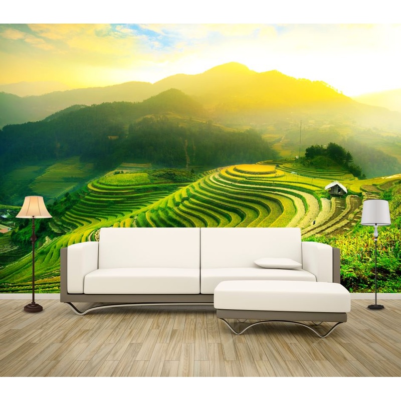 Wallpaper Murals Peel and Stick Removable Stunning Rice Fields Scenery Photograph High Quality