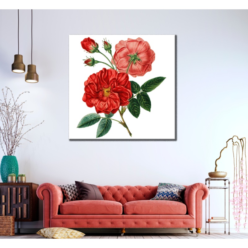 Square Canvas Red Flowers Closeup Painting High Quality Print 100% Australian Made