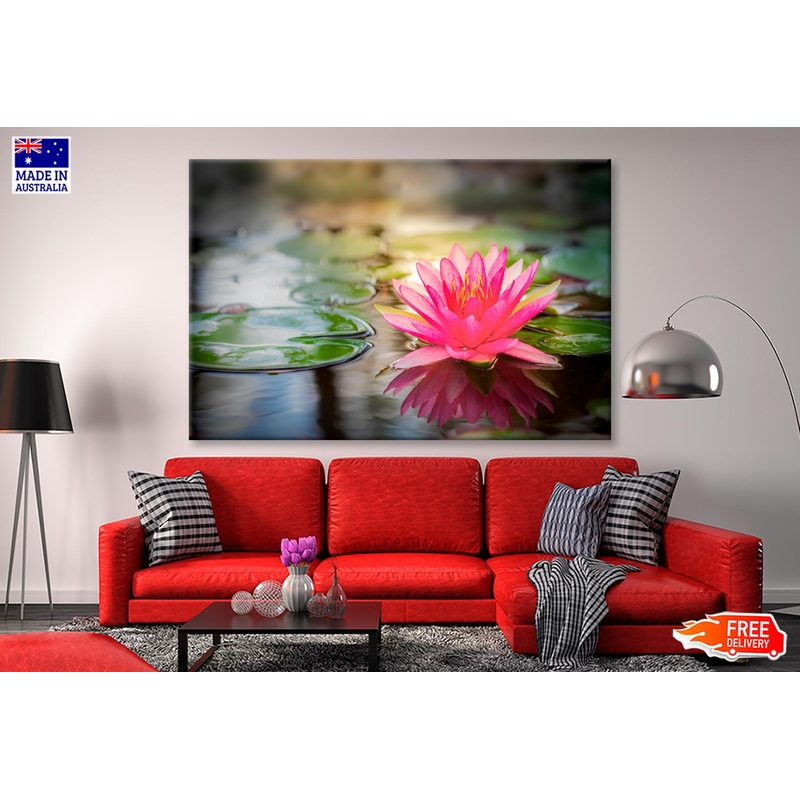 Pink Lotus Flower On Lake & Nature Wall Art Decor 100% Australian Made