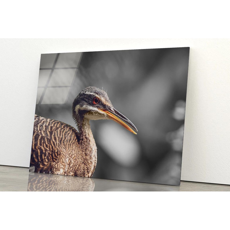 B&W Scenic View of Bird Acrylic Glass Print Tempered Glass Wall Art 100% Made in Australia Ready to Hang