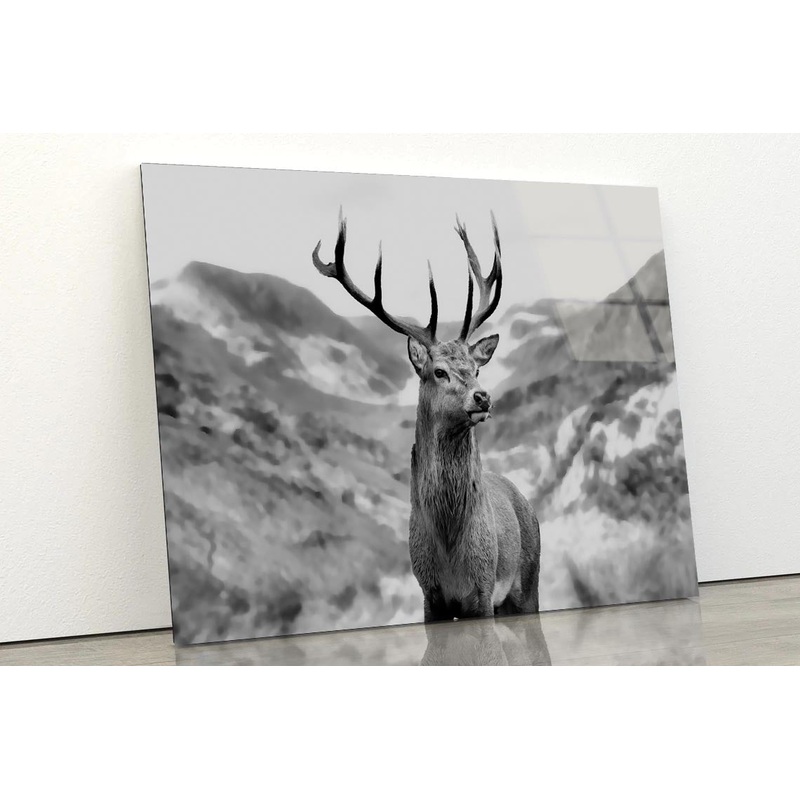 Black & white Deer Acrylic Glass Print Tempered Glass Wall Art 100% Made in Australia Ready to Hang