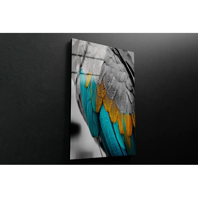 Close-Up Feather 3D Design Acrylic Glass Print Tempered Glass Wall Art 100% Made in Australia Ready to Hang