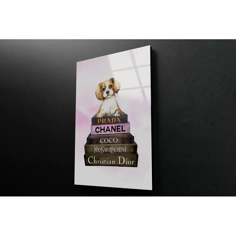 Dog On Book set Fashion Art 3D Design Acrylic Glass Print Tempered Glass Wall Art 100% Made in Australia Ready to Hang