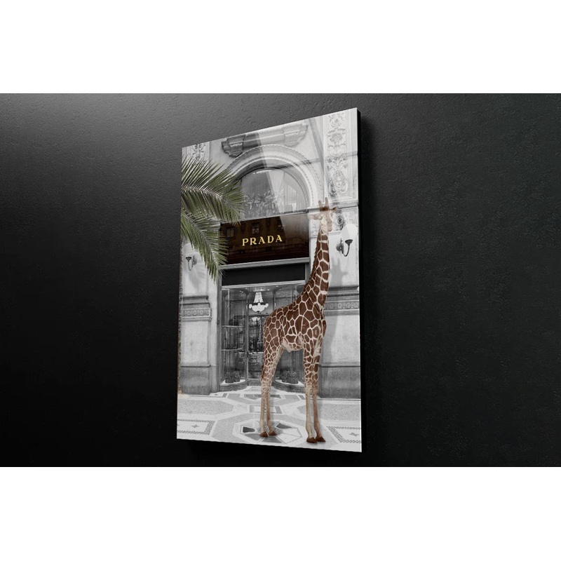 Giraffe & Fashion Store 3D Design Acrylic Glass Print Tempered Glass Wall Art 100% Made in Australia Ready to Hang