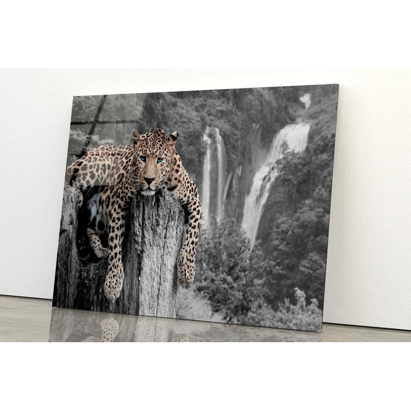Tiger Blue Eyes Acrylic Glass Print Tempered Glass Wall Art 100% Made in Australia Ready to Hang