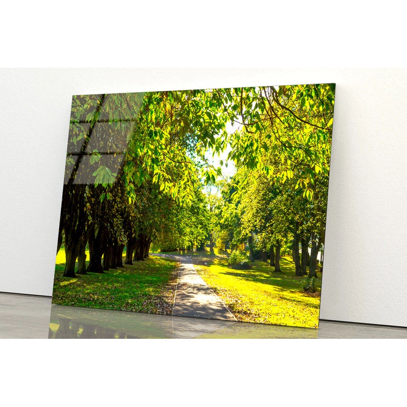 A Line of Trees Acrylic Glass Print Tempered Glass Wall Art 100% Made in Australia Ready to Hang