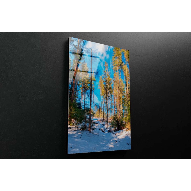 A Sunny Winter Forest Acrylic Glass Print Tempered Glass Wall Art 100% Made in Australia Ready to Hang