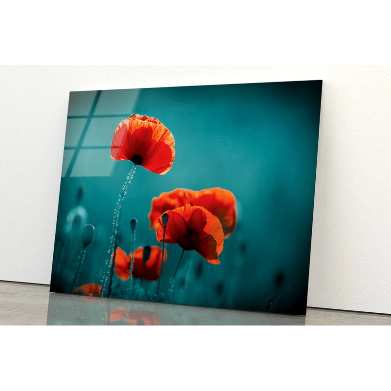 Amazing Poppy Field Acrylic Glass Print Tempered Glass Wall Art 100% Made in Australia Ready to Hang