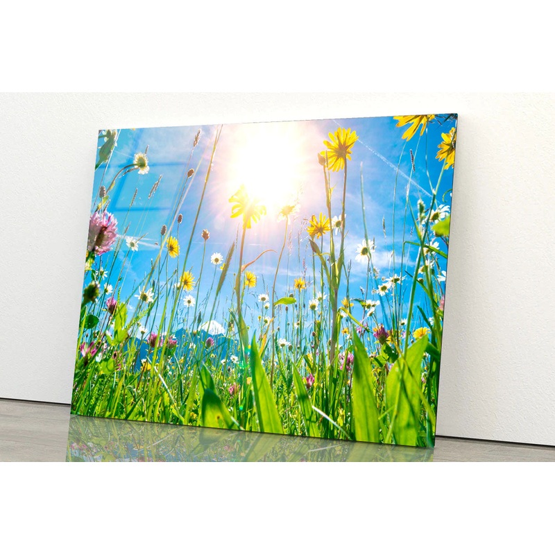 Beautiful Flowers in Meadow Acrylic Glass Print Tempered Glass Wall Art 100% Made in Australia Ready to Hang