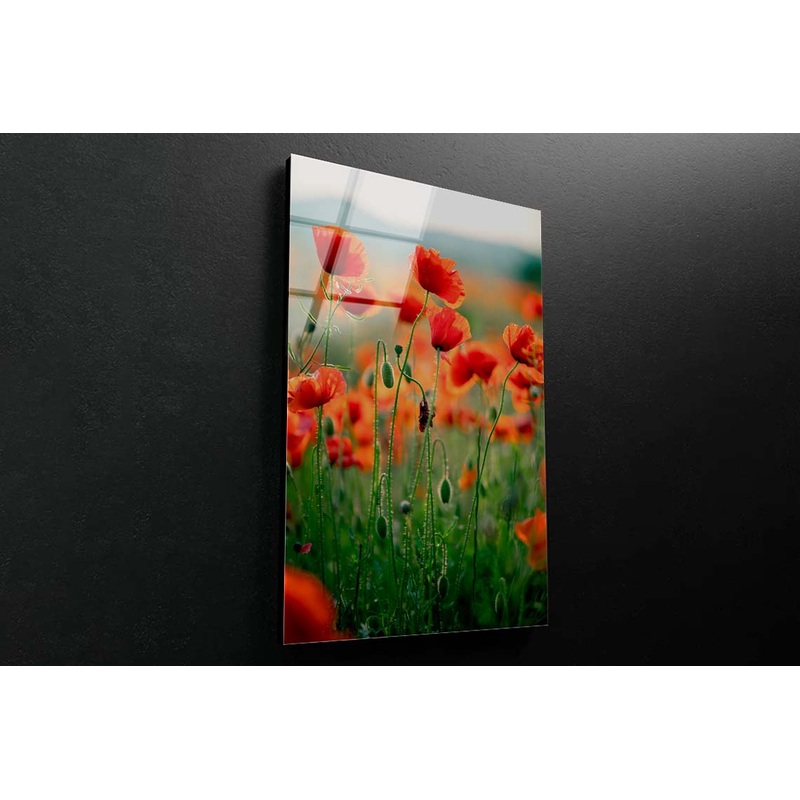 Blooming Red Poppies Acrylic Glass Print Tempered Glass Wall Art 100% Made in Australia Ready to Hang