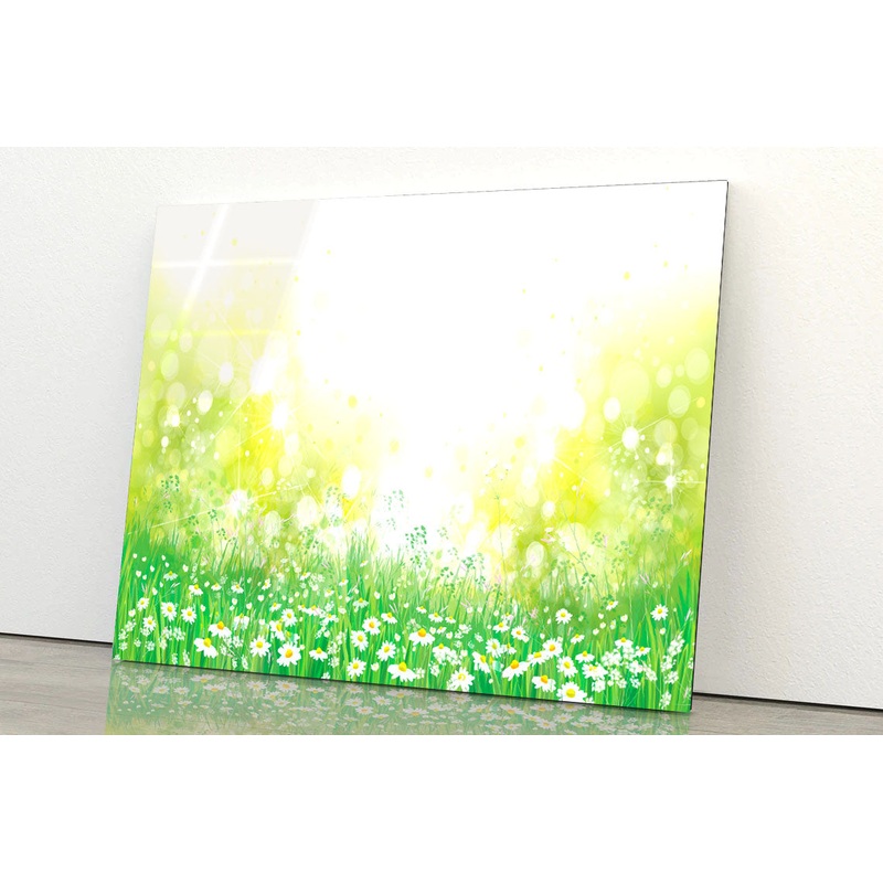 Blossoming White Flowers Field Acrylic Glass Print Tempered Glass Wall Art 100% Made in Australia Ready to Hang