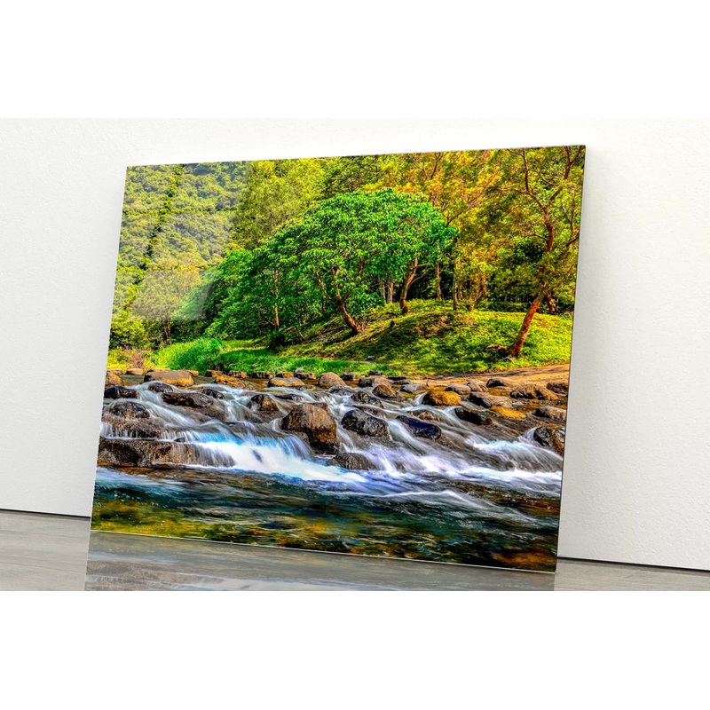 Charming Golden Yellow Forest and Valley Rapid View Acrylic Glass Print Tempered Glass Wall Art 100% Made in Australia Ready to Hang