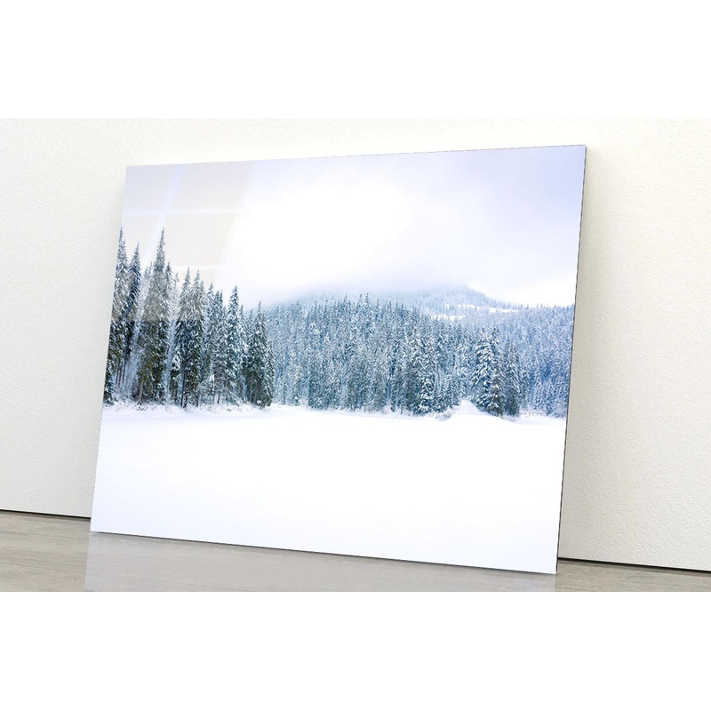Coniferous Forest on Snow Acrylic Glass Print Tempered Glass Wall Art 100% Made in Australia Ready to Hang