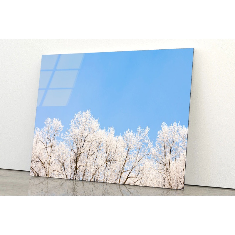 Covered Frost Acrylic Glass Print Tempered Glass Wall Art 100% Made in Australia Ready to Hang