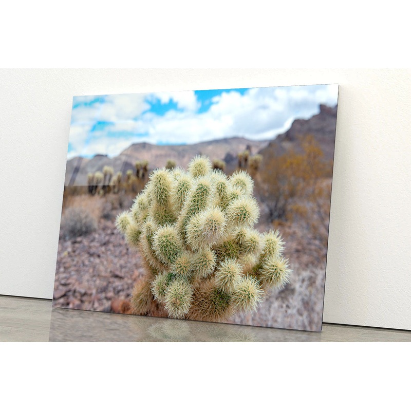 Death Valley in California Acrylic Glass Print Tempered Glass Wall Art 100% Made in Australia Ready to Hang