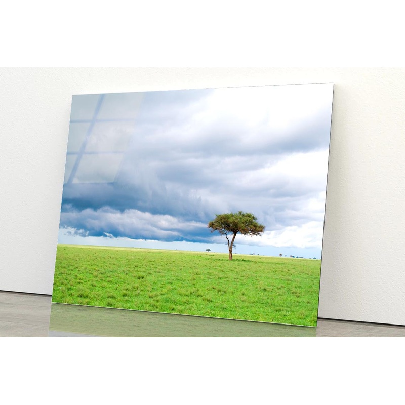 Detached Tree Green Grassland in Savanna Acrylic Glass Print Tempered Glass Wall Art 100% Made in Australia Ready to Hang
